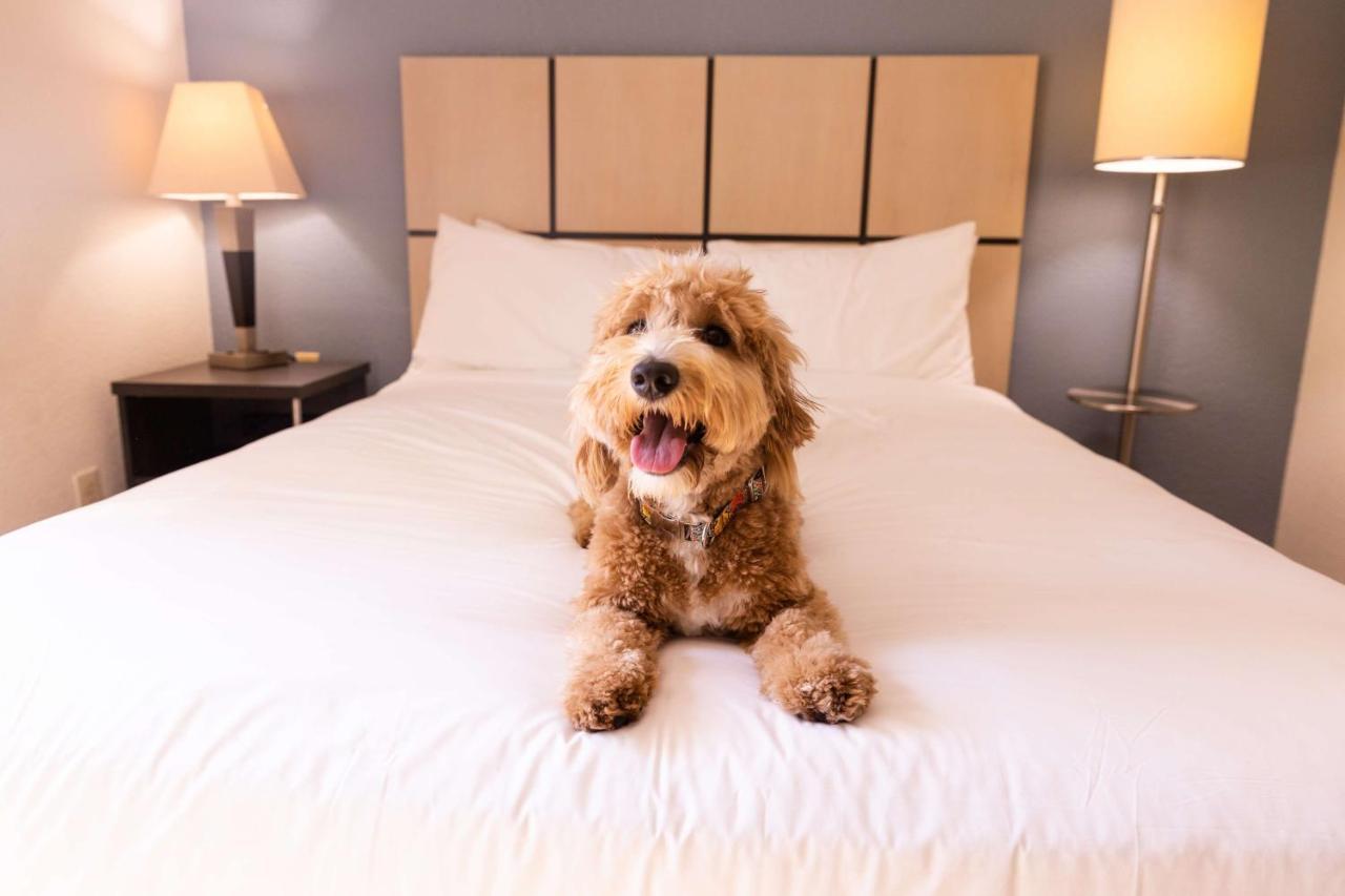Sonesta Simply Suites Anaheim Garden Grove Buitenkant foto
